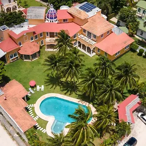 Flores , Cancún Mexique